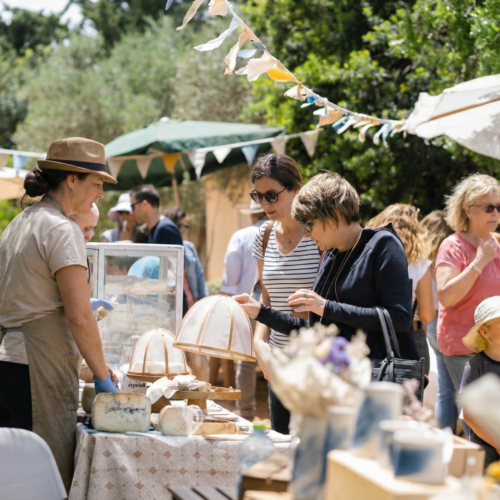 Gemini_Generated_Image_xelwk3xelwk3xelw