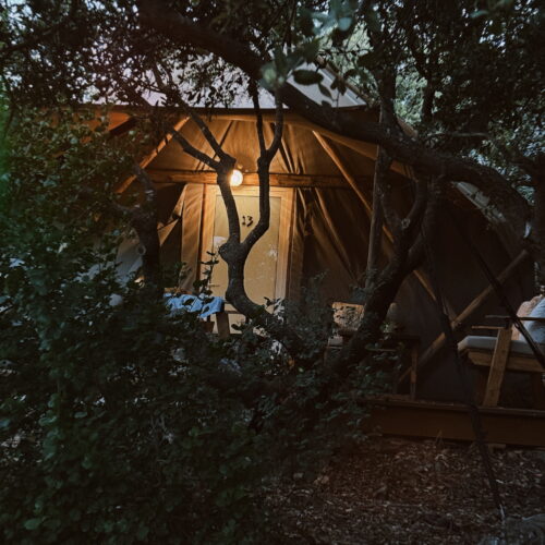 Edited in Tezza with: Mood, Contrast, Brightness, HSL, Blur, KLASSE, & Light 8