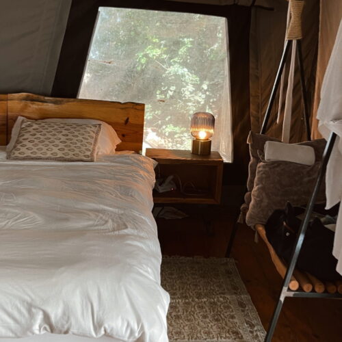 Edited in Tezza with: Mood, Contrast, Brightness, HSL, & Blur