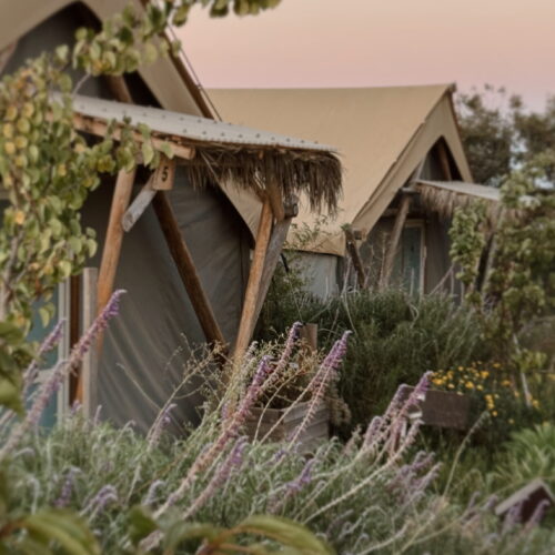 Edited in Tezza with: Mood, Contrast, Brightness, HSL, Blur, Highlights, Saturation, & Focus