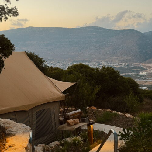 Edited in Tezza with: Mood, Contrast, Brightness, HSL, Blur, KLASSE, Highlights, & Haze